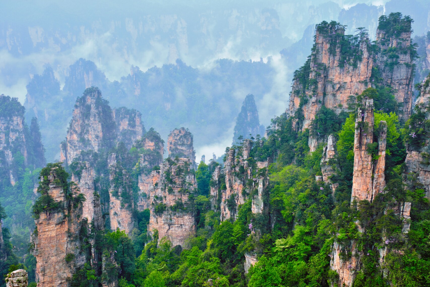 Zhangjiajie’s soaring stone pillars rising through mountain mist